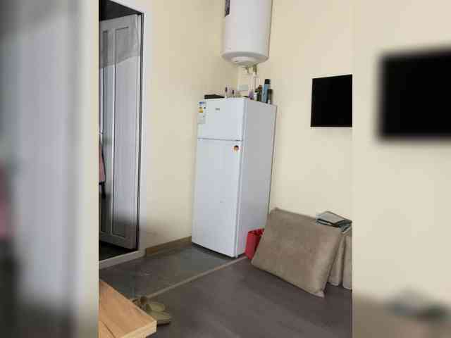 Viola18a webcam