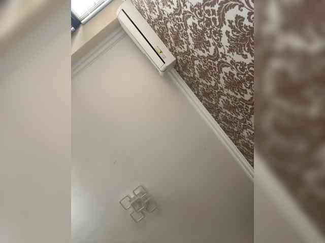 Viola18a webcam