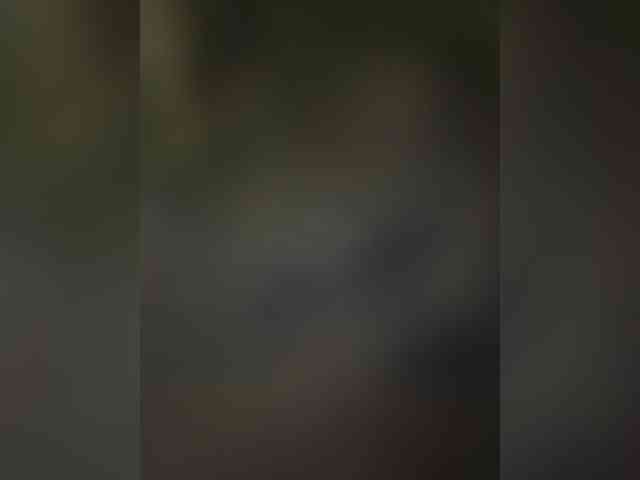 Viola18a webcam