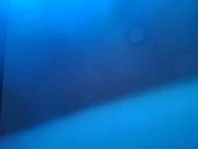 Tammysutra webcam