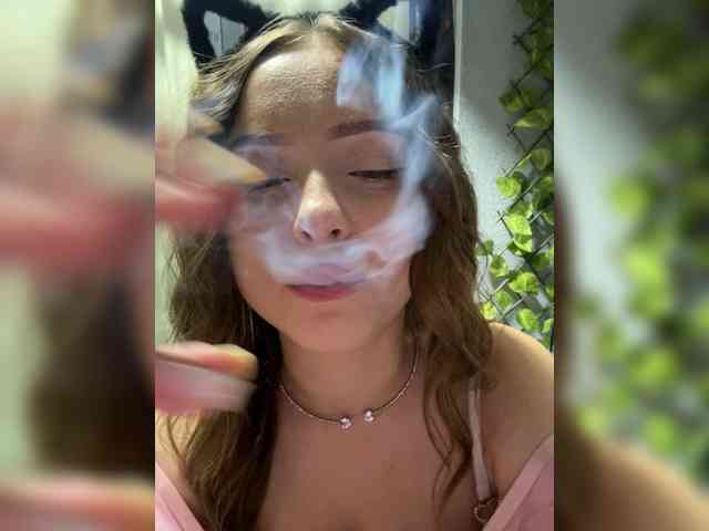 Lisuniyaa webcam