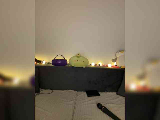 Lisuniyaa webcam