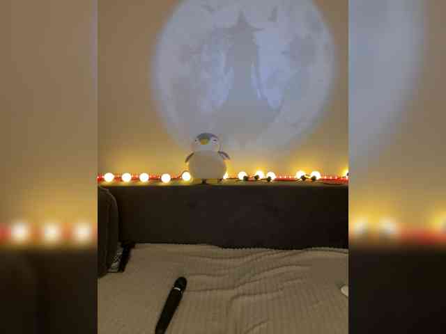 Lisuniyaa webcam