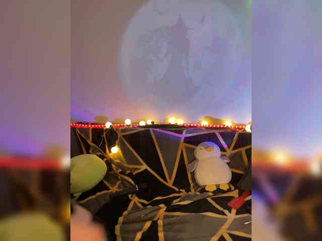 Lisuniyaa webcam
