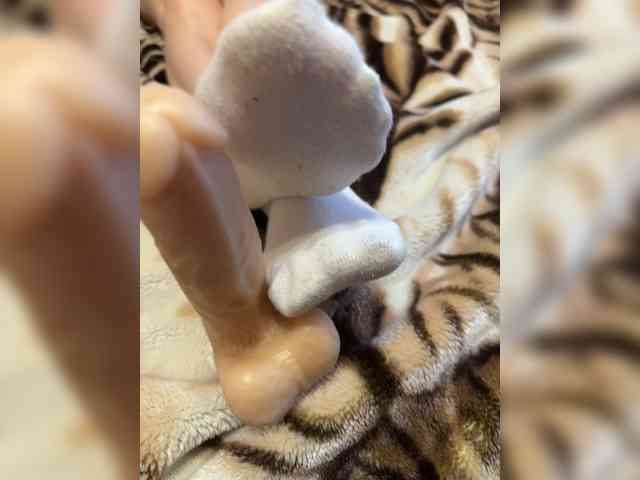 Feet-sweet-little-girl webcam