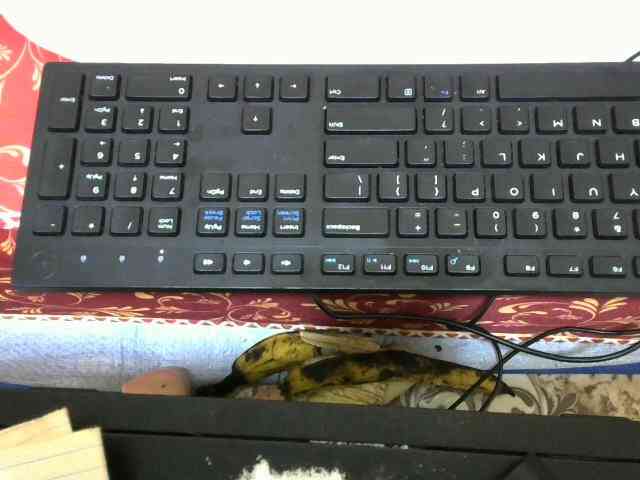 Sweetlove88 webcam