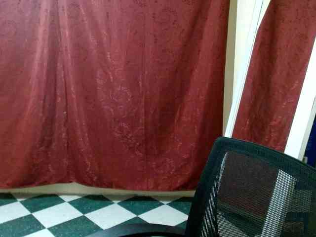 saralo webcam