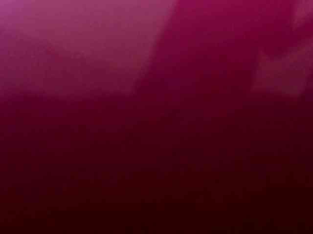 saralo webcam