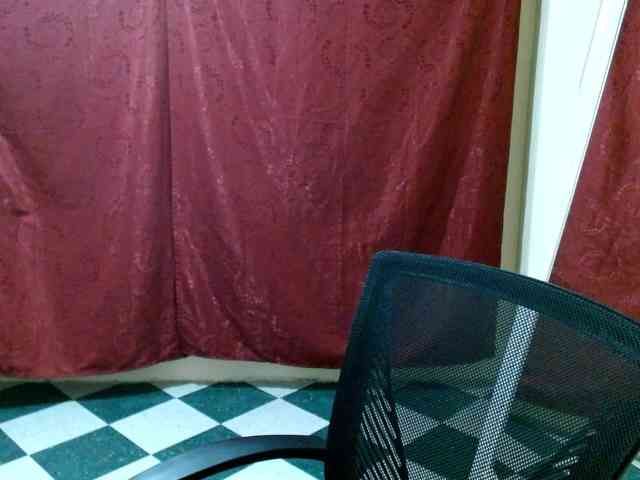 saralo webcam