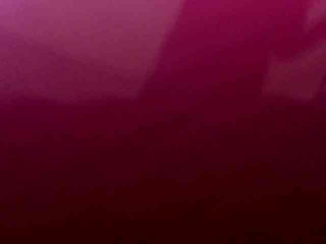 saralo webcam