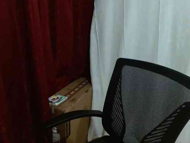 saralo webcam