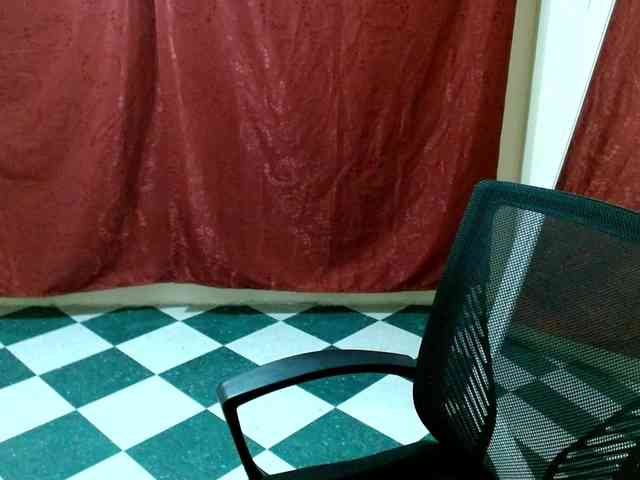 saralo webcam