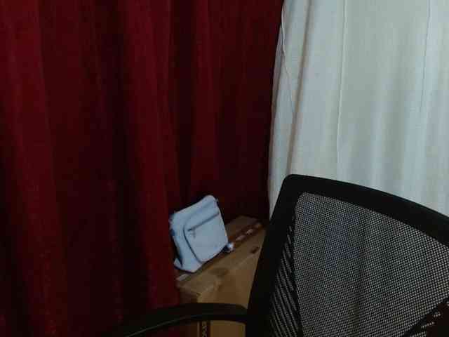 saralo webcam