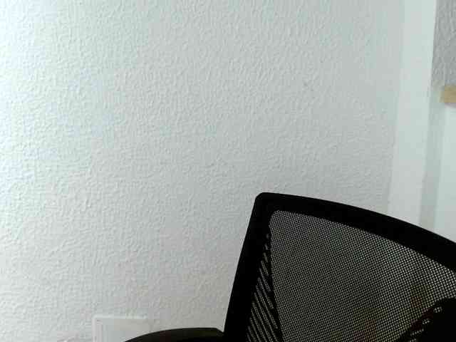 saralo webcam