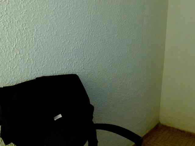 saralo webcam