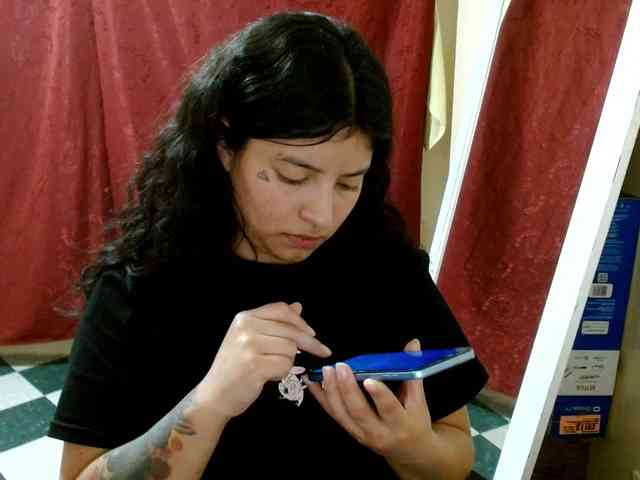 saralo webcam