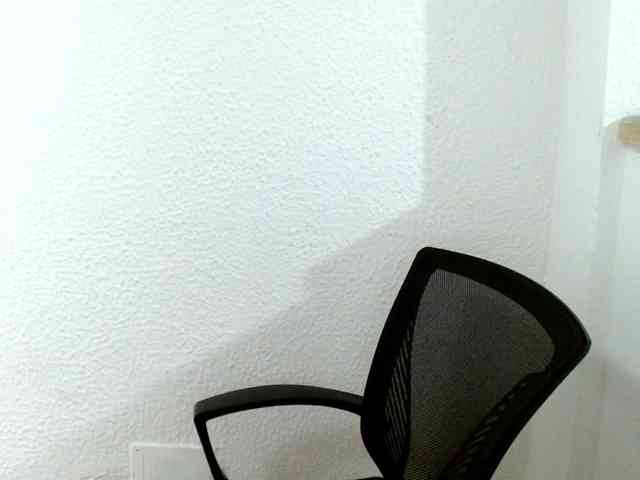 saralo webcam
