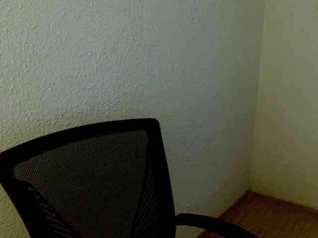 saralo webcam