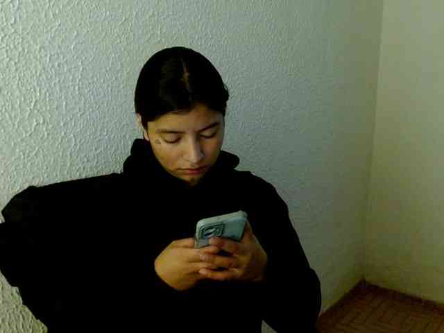 saralo webcam