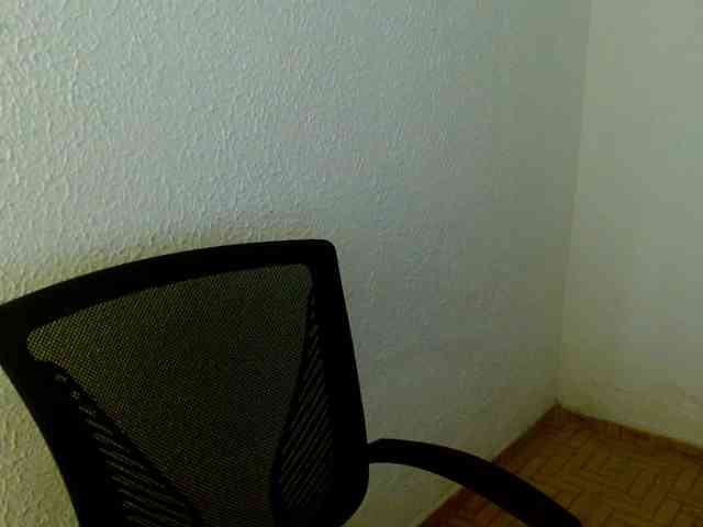 saralo webcam