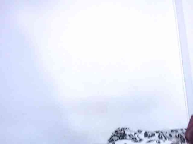 Angelina-fiory webcam