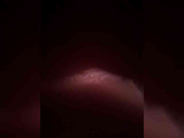 ChaseMePlease webcam