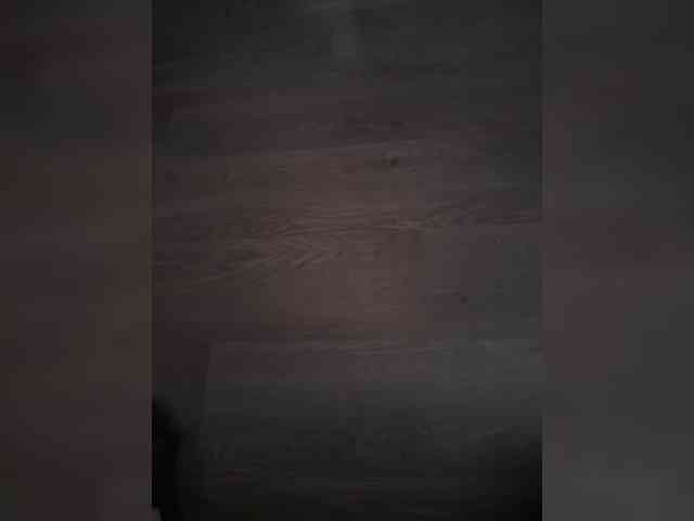 ChaseMePlease Sex Cam Show