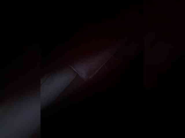 ChaseMePlease Sex Cam Show