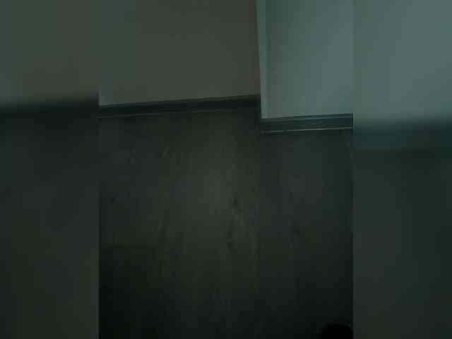 ChaseMePlease webcam