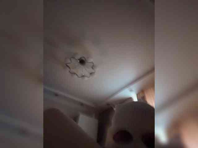 ChaseMePlease webcam
