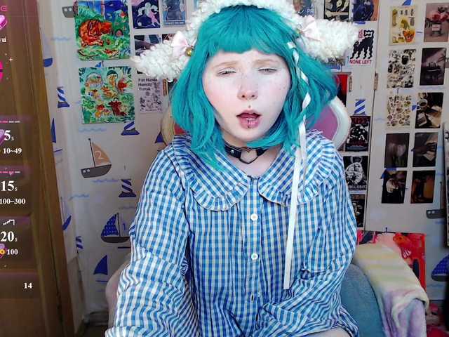 usagi-sasagi live cam