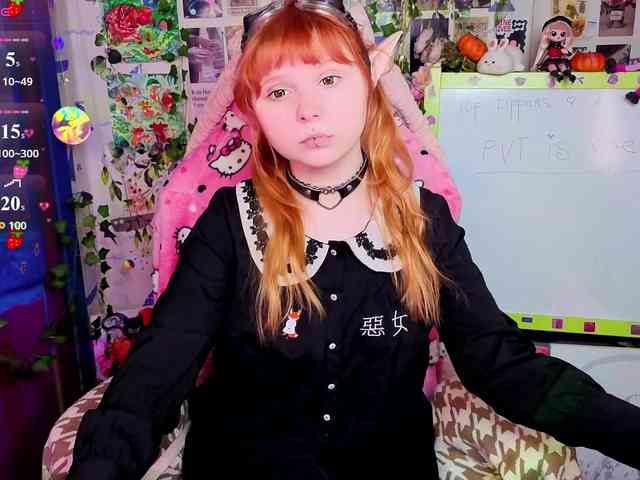 usagi-sasagi webcam