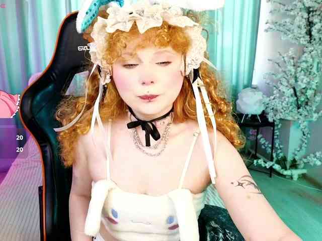 usagi-sasagi webcam