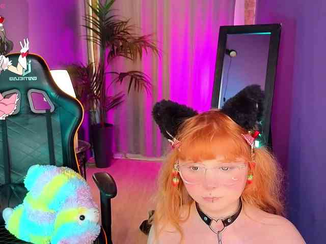 usagi-sasagi webcam