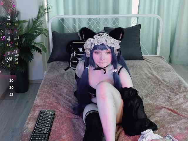 usagi-sasagi webcam