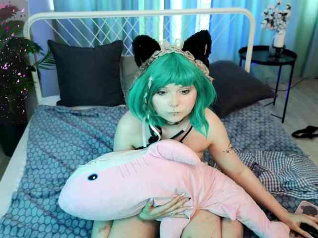 usagi-sasagi webcam