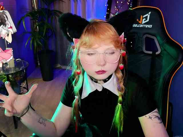 usagi-sasagi webcam