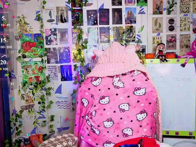 usagi-sasagi webcam