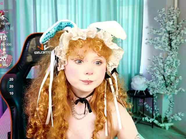 usagi-sasagi webcam