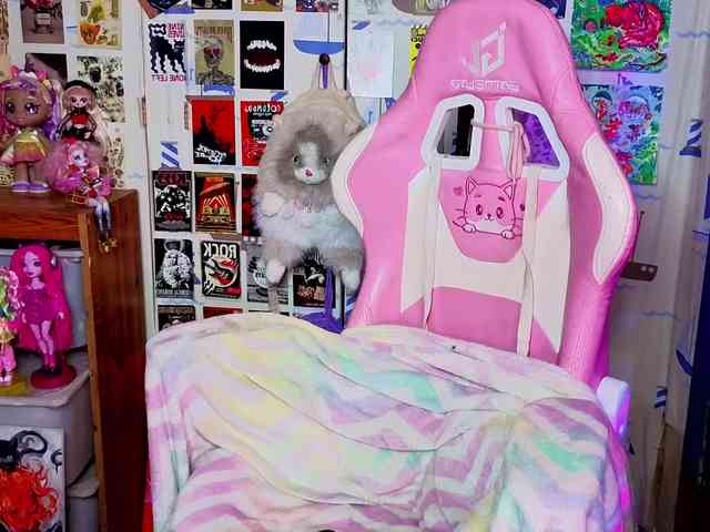 usagi-sasagi webcam