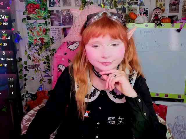 usagi-sasagi webcam