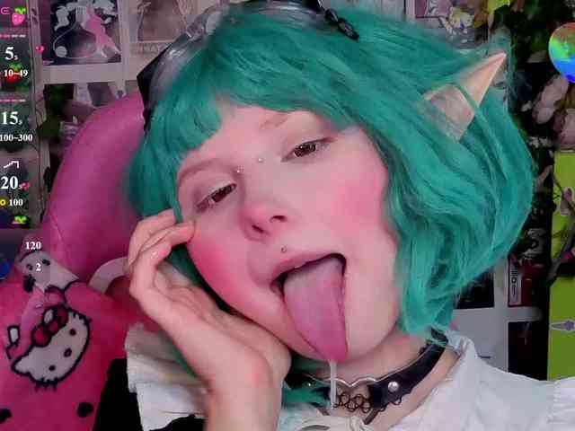 usagi-sasagi webcam