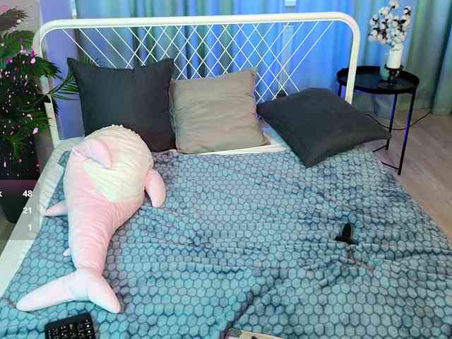 usagi-sasagi webcam