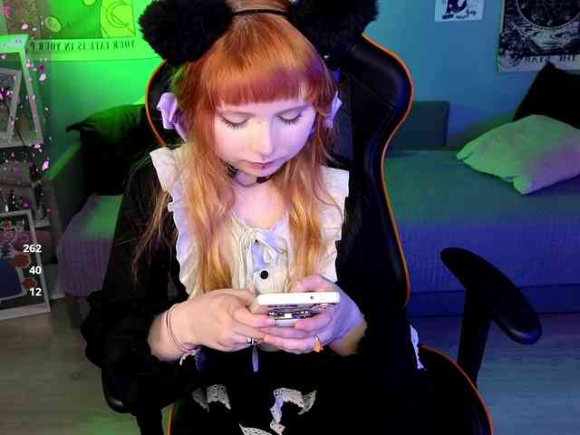 usagi-sasagi webcam