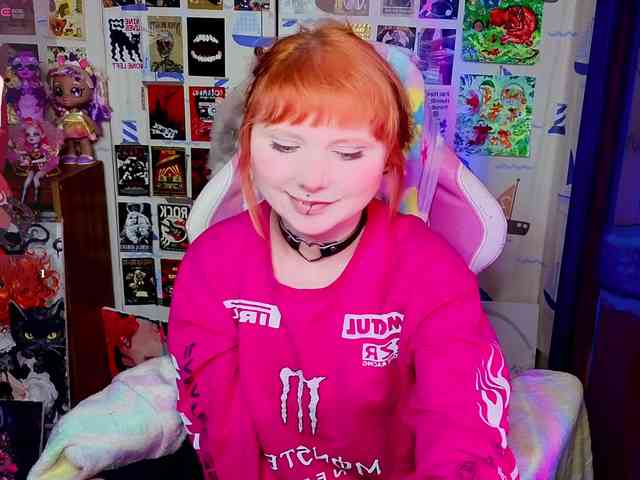 usagi-sasagi webcam