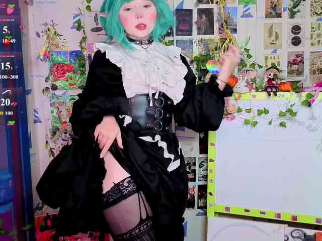 usagi-sasagi webcam