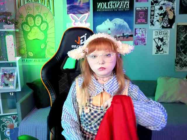 usagi-sasagi webcam