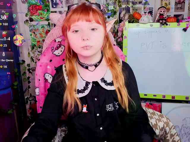 usagi-sasagi webcam
