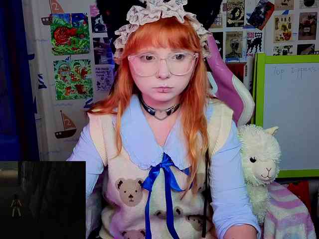 usagi-sasagi webcam