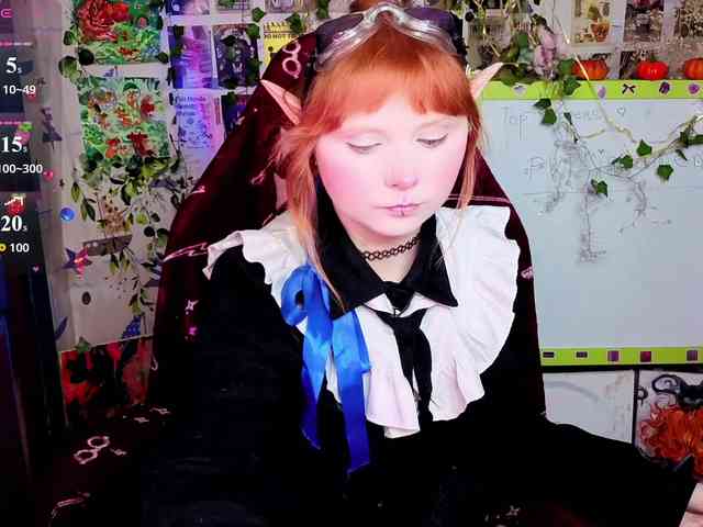 usagi-sasagi webcam